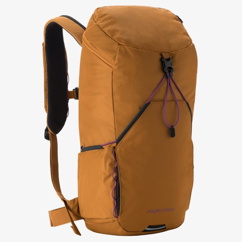 Eagle Creek Backpacks